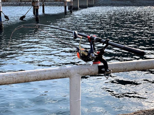 堤防からの泳がせ釣りで青物やヒラメなどの大物を釣ろう おすすめタックル 仕掛け等まとめ 全国釣り紀行