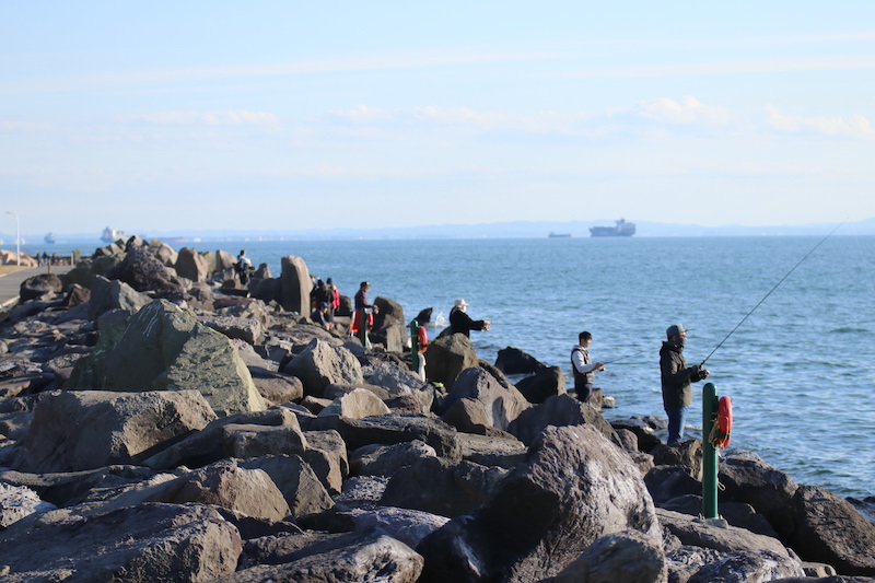 若洲海浜公園 堤防や磯場など変化に富んだ都会の釣り場 釣れる魚 ポイント情報まとめ 全国釣り紀行